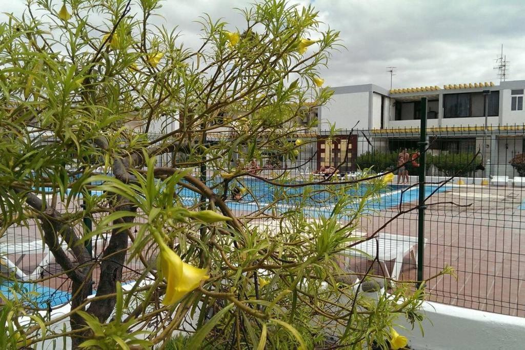 Apartamento Drago Apartment กอสตา เดล ซิเลนซิโอ ภายนอก รูปภาพ
